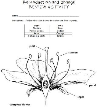 We did not find results for: Cell and Plant Reproduction by Class Organize | Teachers ...
