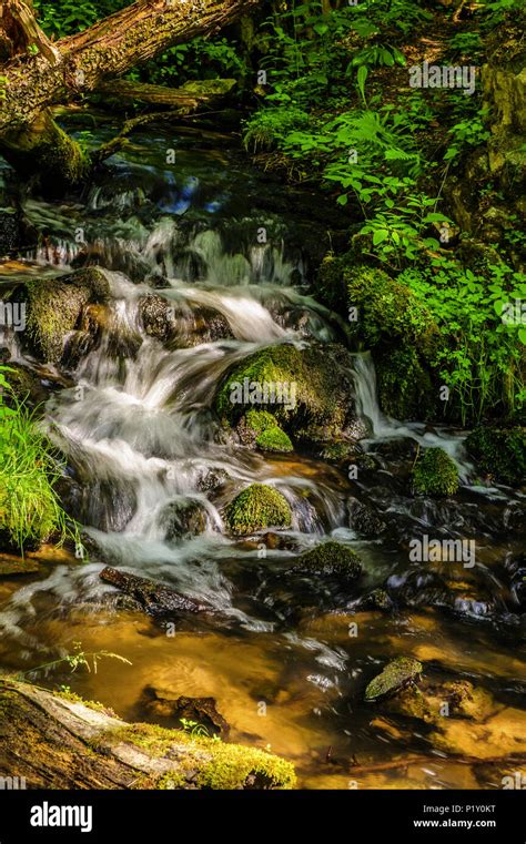 A Mountain Stream In The Wilderness Stock Photo Alamy