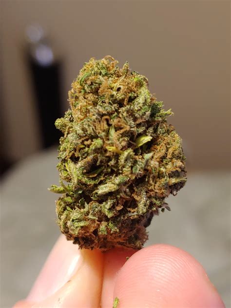 Het interieur van de zaken is met hout bekleed. ASPEN VALLEY HAWAIIN HAZE. 🔥 : hempflowers
