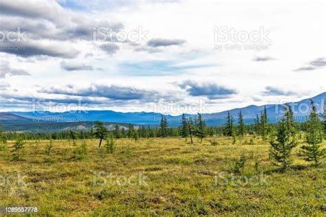 Hutan Konifer Tundra Subpolar Dan Pegunungan Yang Jauh Di Ural Pada