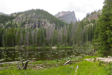Nymph Lake In Rocky Mountain National Park Day Hikes