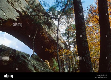 Natural Bridge Red River Gorge Area Daniel Boone National Forest Kentucky Stock Photo