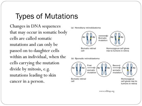 Ppt Blueprint Of Life Topic 19 Mutations Powerpoint Presentation