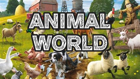 Animal World For Kids Educational Video For Your Kids Youtube