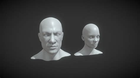 Human Head 3d Models Sketchfab