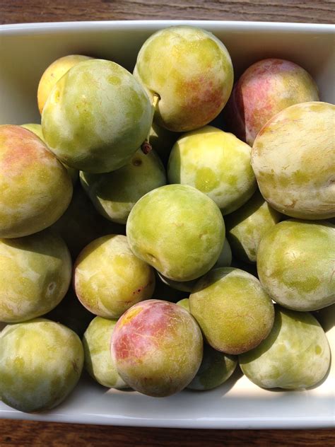Market Update Warren Pears And Native Greengage Plums Specialty