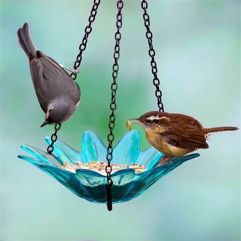 You can still enjoy feeding birds with little or no yard. Couronne Hanging Daisy Glass Bird Feeder | Wayfair