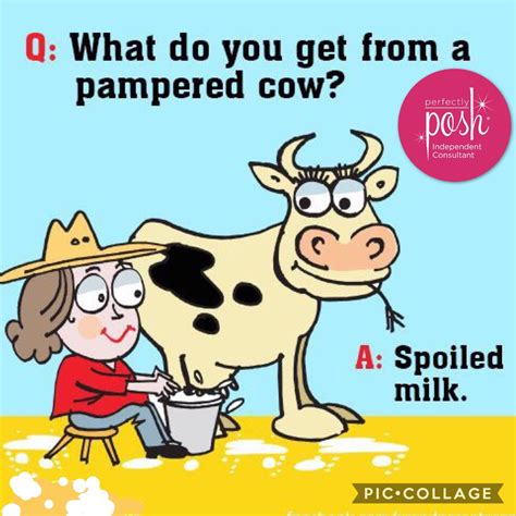 I wonder what my parents did to fight boredom before the internet. What do you call a pampered cow. Spoiled Cow! | Explain ...