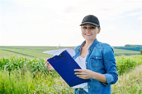 Agricultural Worker Woman With Working Folder In Green Sunflower Field Stock Photo Image Of