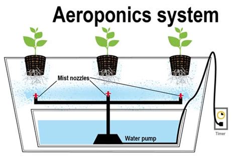 How To Build A Diy Aeroponics System 18 Easy Diy Aeroponics Plans