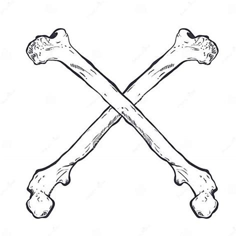 Crossed Bones Hand Drawn Vector Illustration Isolated On White Stock