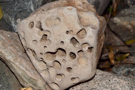Holes In Rocks Explained How Are Formed And What Causes Them How To