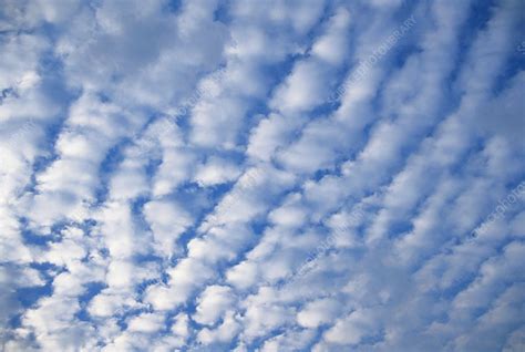 Altocumulus Cloud Stock Image F0315564 Science Photo Library