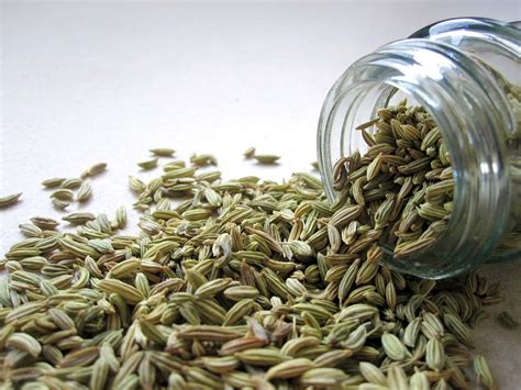 Health Benefits Of Fennel Seeds Saunf From Weight Loss To Heart