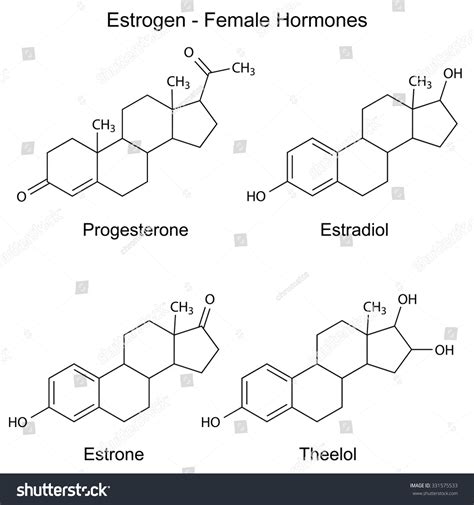 Structural Chemical Formulas Female Sex Hormones 스톡 벡터사용료 없음