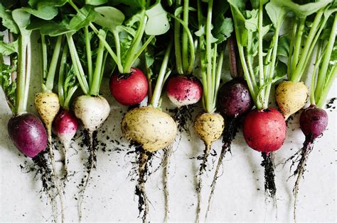 The Best Root Vegetables For A Low Carb Diet