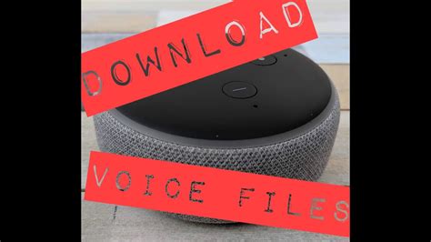 Download Alexa Voice Filesrecordings Youtube