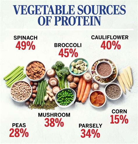 High Protein Diet Foods List Best Culinary And Food