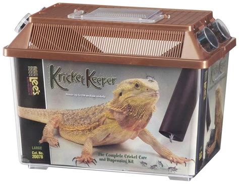 Veiled Chameleon Diet Guide – Food List Included | Pet supplies, Pets