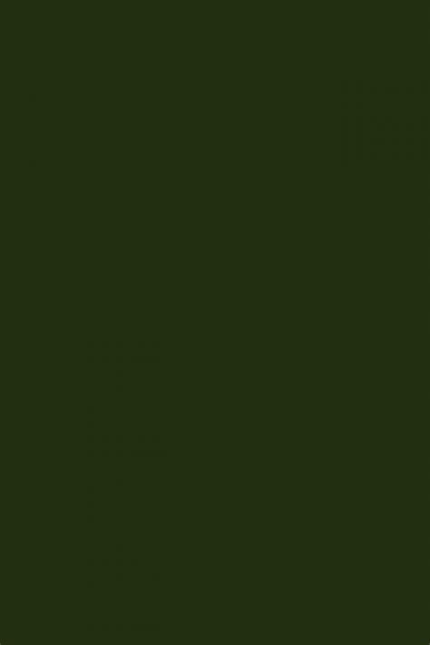 Olive Green Background Free Stock Photo - Public Domain Pictures
