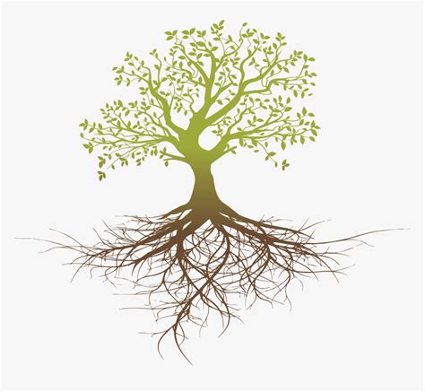 Root System Tree Oak Tree With Roots Silhouette Png Transparent Png