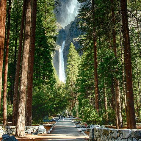 The Restoration Of Yosemite Falls — Yosemite Conservancy
