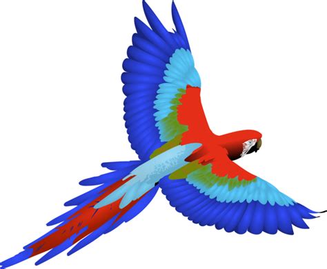 Parrot Clipart Blue Yellow Macaw Parrot Blue Yellow Macaw Transparent