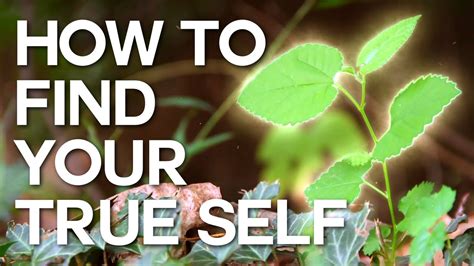 How To Find Your True Self Swedenborg And Life Youtube