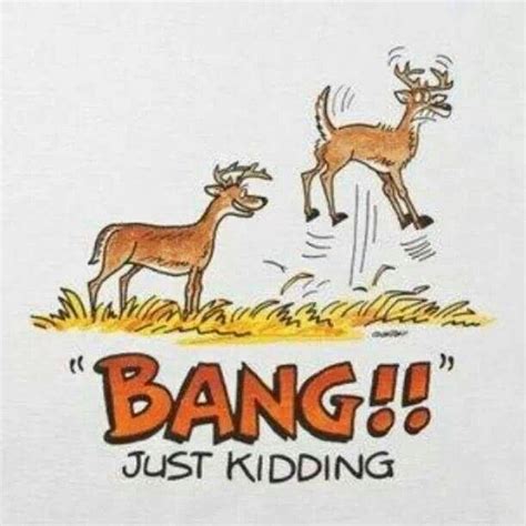 Pin By Thomas Wilkin On Ecards Jokes Funny Deer Deer Hunting