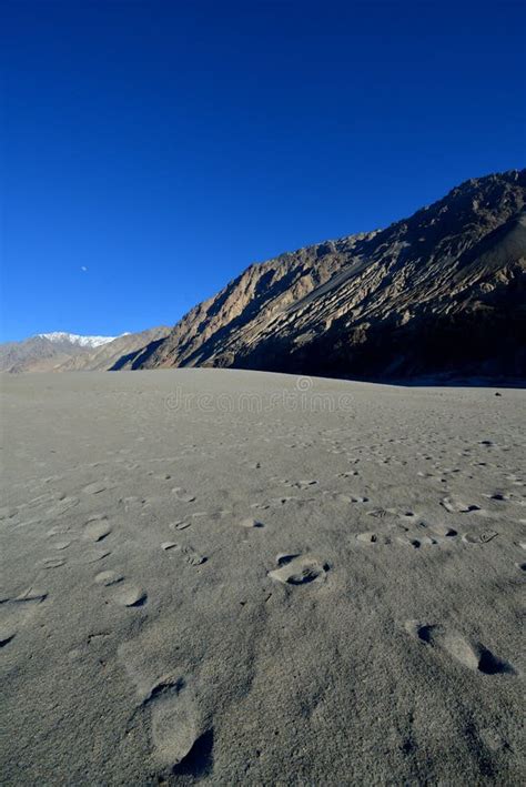 Sand Dunes In Nubra Valley Ladakh India Stock Photo Image Of Summer