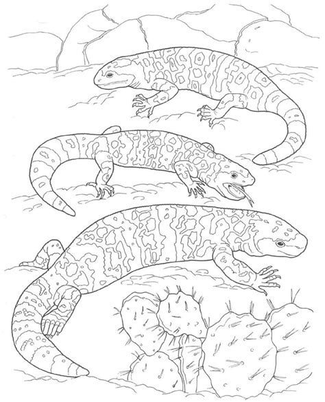 Desert Lizard Coloring Pages This Image Pinned From Coloring Pages For