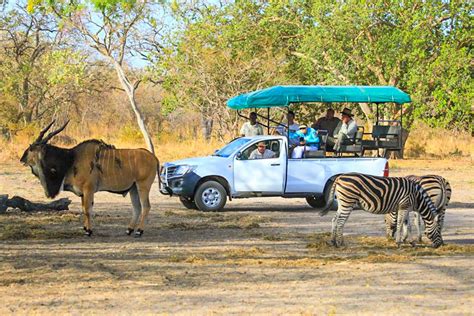 Senegal Safari And Accommodation Images Fathala Wildlife Reserve