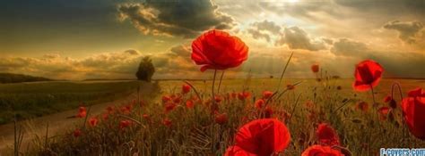 Flowers Poppy Red 2 Facebook Cover Timeline Photo Banner For Fb