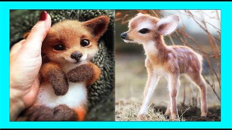 Ca Craaazy Cutest Baby Animals Videos Compilation 7 Cutest Animal
