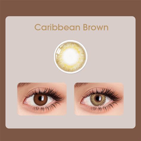 Mislens Caribbean Brown Color Contact Lenses Mislens