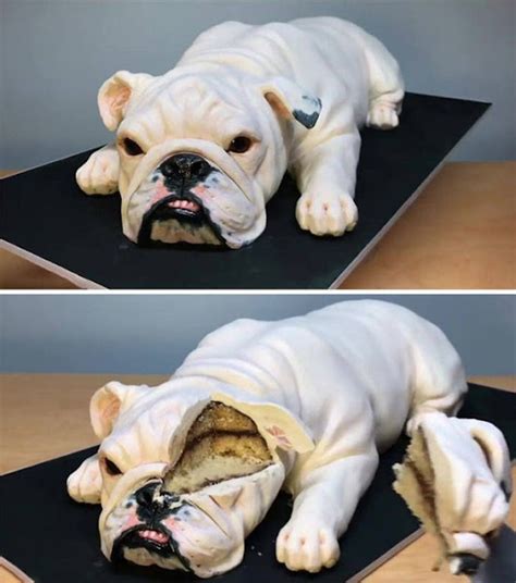 Hyper Realistic Cakes Designs By Natalie Sideserf Sideserf Cake