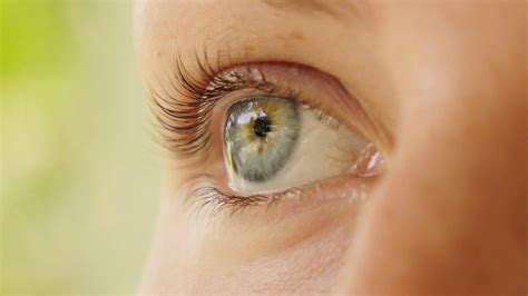 Beautiful Woman Eye Close Up Macro Stock Video Footage 0021 Sbv