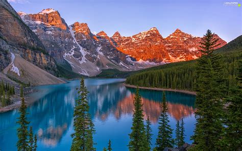 Mountains Province Of Alberta Trees Banff National Park Canada