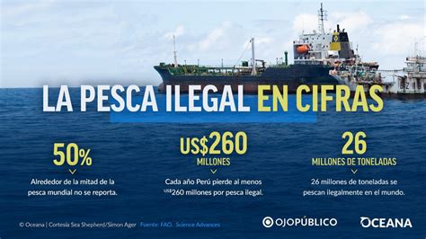 La Pesca Ilegal Un Pendiente Urgente Que El Perú Debe Atender Oceana Peru