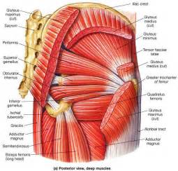 1000+ images about Msk on Pinterest