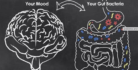 Can Gut Health Affect Anxiety