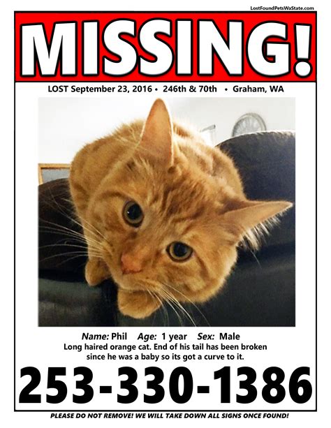 Mom soothes and hugs daughter who lost the cat. Missing Cat - Graham, Wa | LOST & FOUND PETS WA STATE