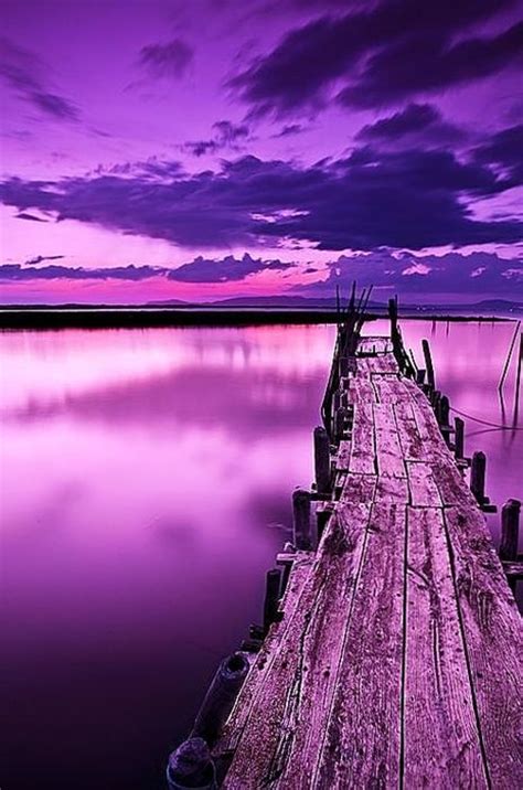 Beautiful Hues Of Purples ♥ ♥ Opieurocentrale