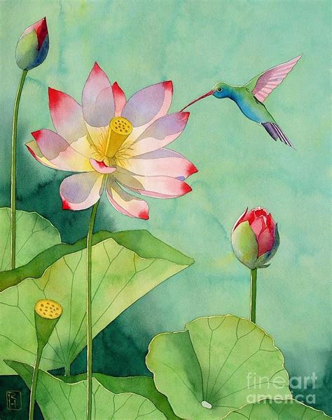 Lotus And Hummingbird By Robert Hooper Lotus Flower Painting Lotus