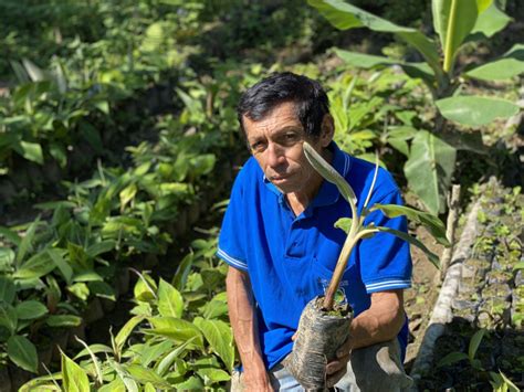 Jun 24, 2021 · con esto ahora se tendrá personal especializado que capacitará y asesorará a los pequeños agricultores. Los agricultores peruanos no se detienen