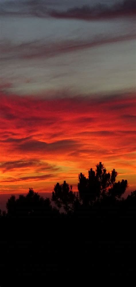 Sunset Trees Sky Clouds Wallpaper 720x1520