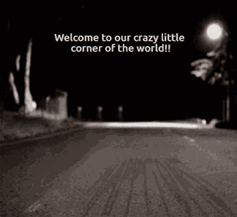 Crazy Raccoon Welcome  Crazy Raccoon Welcome Dancing Discover