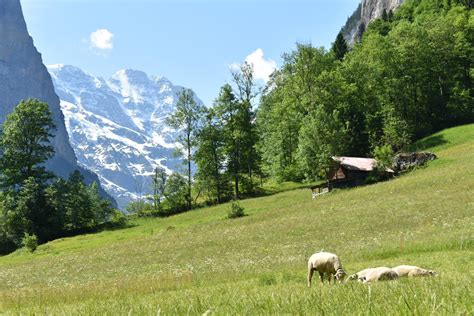 Switzerland Denali Goes Switzerland Mountains Natural Landmarks