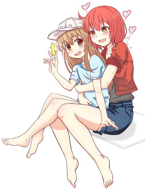 Platelet Red Blood Cell And Ae Hataraku Saibou Drawn By Pae