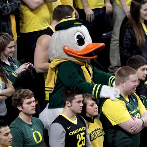 13 Ways You Know Youre An Oregon Ducks Fan News Scores Highlights